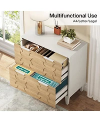 Tribesigns 2-Drawer File Cabinet, Lateral Filing Cabinet, Office Storage Cabinet, Printer Stand with Storage Drawer for Home Office