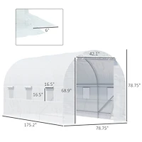 15' Walk-In Greenhouse with Windows & Door