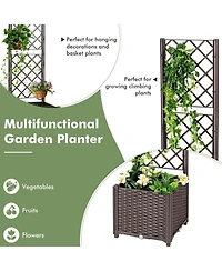 Skonyon Raised Garden Bed with Trellis Planter Box for Climbing Plants -Brown