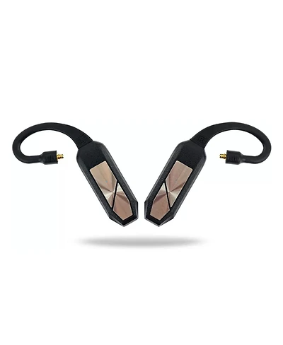 iFi Go Pod Portal Iem Bluetooth Dac Headphone Amp