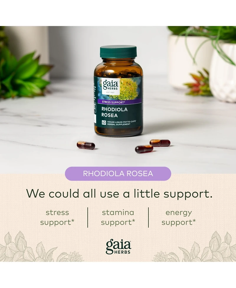 Gaia Herbs Rhodiola Rosea - Stress Support Supplement Traditionally for Supporting Healthy Stamina and Endurance