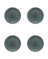 Fortessa Northern Lights Dinner Plates, Set of 4