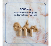 Trace Minerals Beef Organ, 600mg - Bone & Energy Health Support Supplement - Nutritional Supplement Aids Healthy Organs