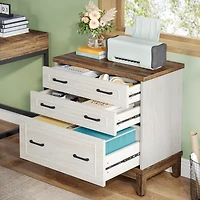 Tribesigns 3-Drawer File Cabinet, Lateral Filing Cabinet for A4/Letter/Legal Size, Wood Office Storage Cabinet Printer Stand for Home Office, Living R