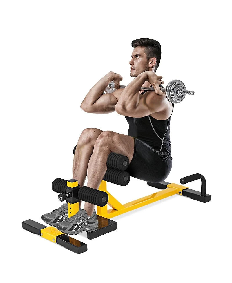 Skonyon 3-in-1 Sissy Squat Ab Workout Home Gym Sit-up Machine
