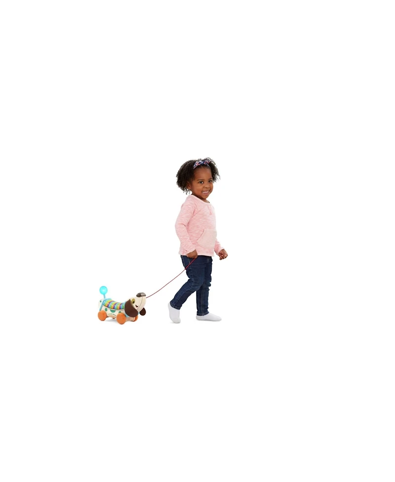 LeapFrog Wooden AlphaPup