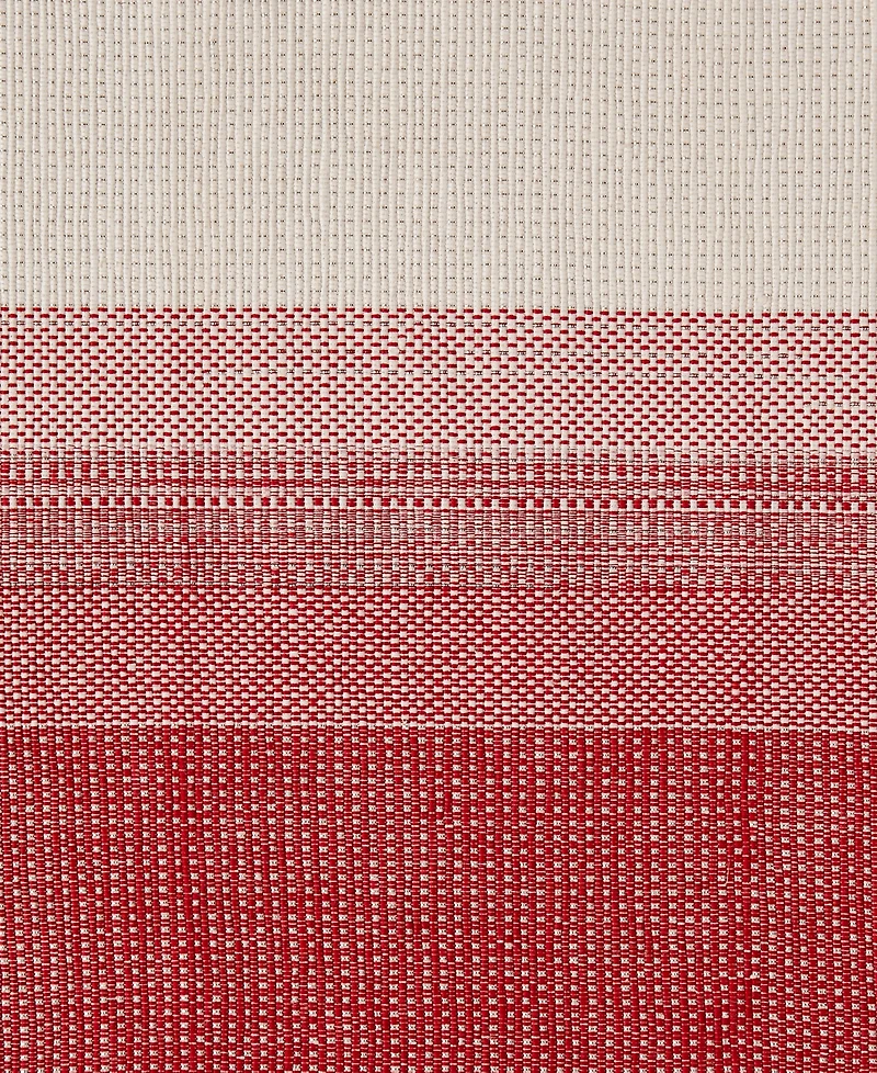 Avanti Ombre Ivy Polyester 8 Piece Placemats/Napkins Set