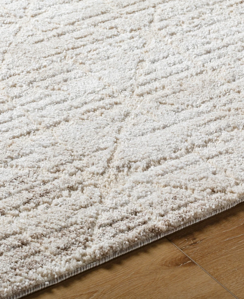 Livabliss Andorra Plus Arp-2306 5'3"x7'3" Area Rug