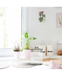 Amici Home Stockholm Glass Round Canister - Storage