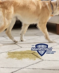 Bissell Little Green Pet Pro Portable Carpet Cleaner