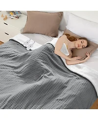 Caromio Queen Waffle Sherpa Electric Heated Blanket with Dual Control, 84" x 90"