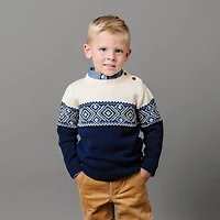 Hope & Henry Boys Organic Long Sleeve Intarsia Crew Neck Pullover Sweater with Buttons