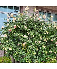 Slickblue 4-Pack Metal Garden Trellis – 86.7'' x 19.7'', Rustproof Black Trellis for Climbing Plants and Outdoor Flower Support