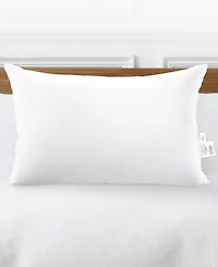 Cheer Collection Soft and Plush Bed Pillow Insert