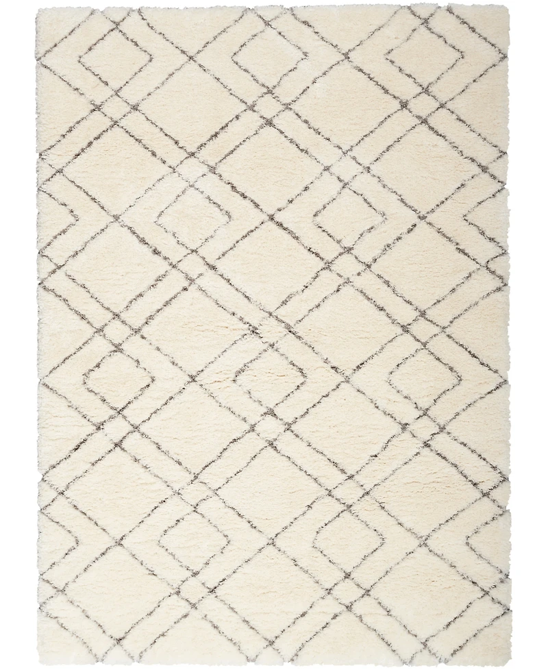 Nourison Home Dreamy Shag DRS07 4'x6' Area Rug