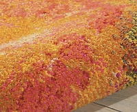 Nourison Home Celestial CES04 5'3"x7'3" Area Rug