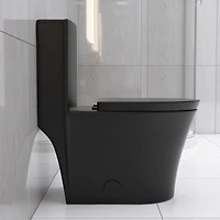 Streamdale Matte Black Dual Flush Elongated Toilet, 1000g Map