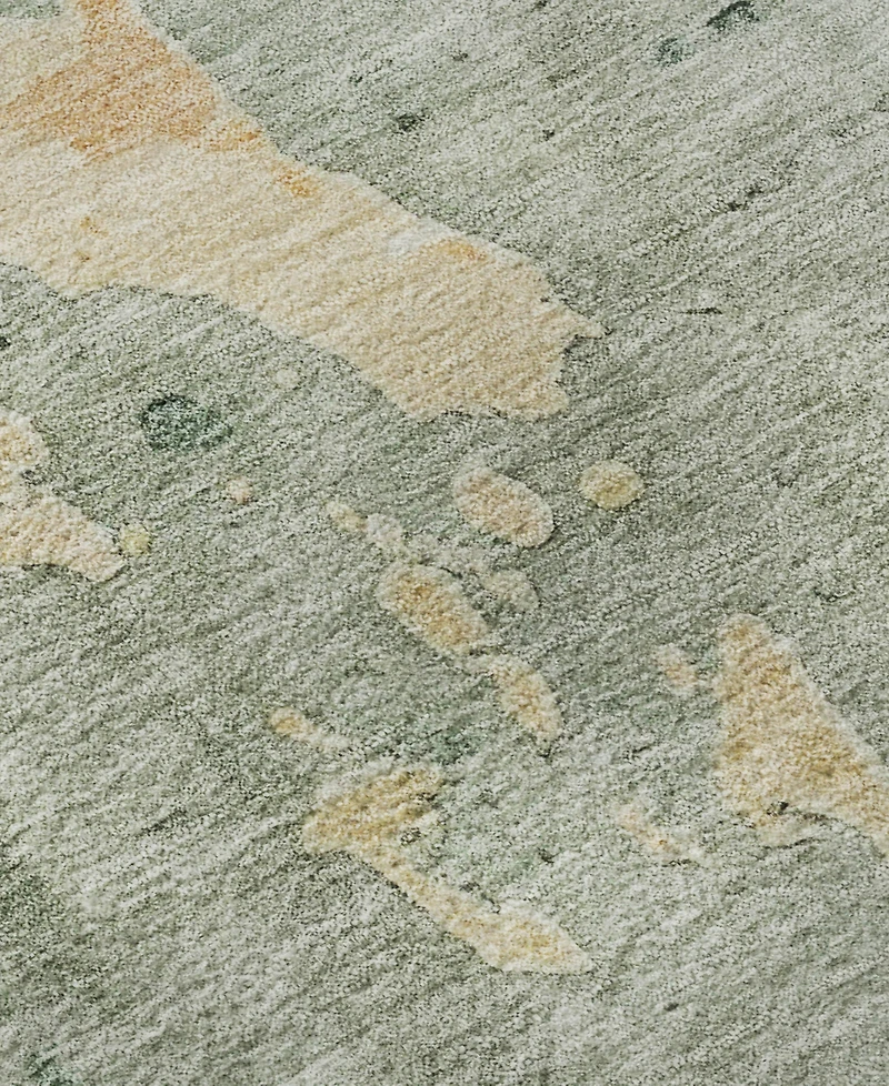 Dalyn Bresca Washable BC1 8'x10' Area Rug