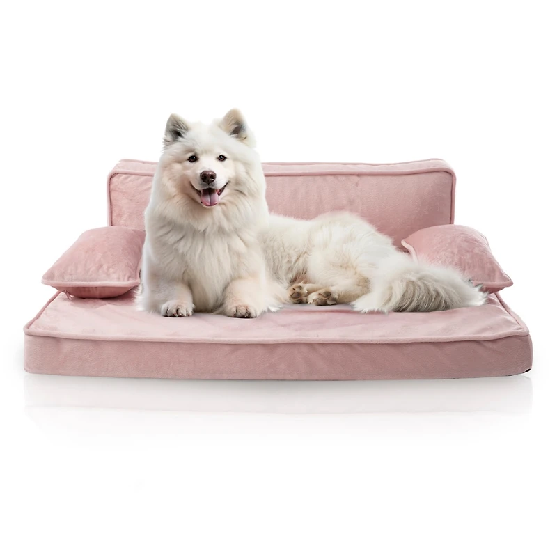 Precious Tails Orthopedic Pet Bed, Stylish Beds for Cats and Dogs, Modern Sofa Couch for Small-Medium Dog