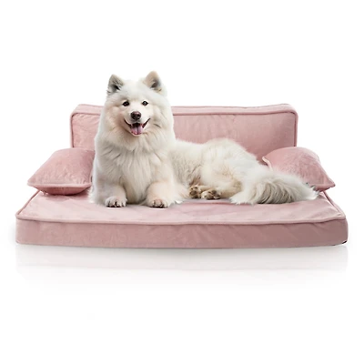 Precious Tails Orthopedic Pet Bed, Stylish Beds for Cats and Dogs, Modern Sofa Couch for Small-Medium Dog