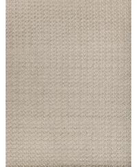 Exquisite Rugs Monroe Silk 3971 8'x10' Area Rug