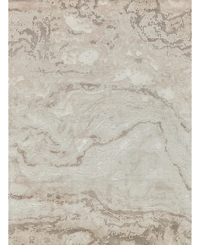 Exquisite Rugs Saccara 6807 8'x10' Area Rug