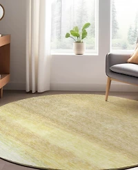 Dalyn Trevi Washable TV2 8'x8' Round Area Rug