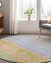 Dalyn Trevi Washable TV2 8'x8' Round Area Rug