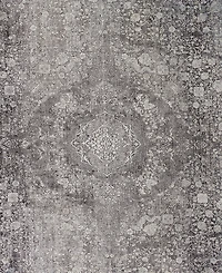 Feizy Sarrant 3967F 4'x5'3" Area Rug