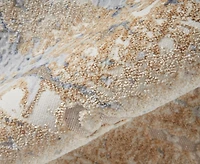 Feizy Laina 39G9F 4'x6' Area Rug