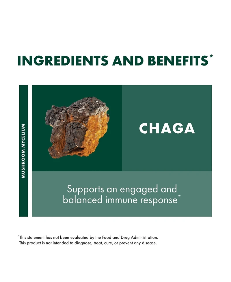 Host Defense Chaga Extract - Immune System Support Supplement - Chaga Mushroom for Antioxidant Activity Support