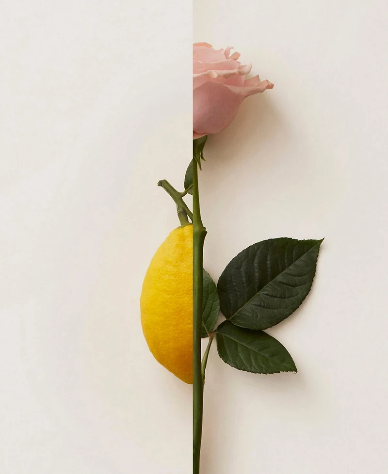 New Notes - Rosa Limone Eau De Parfum