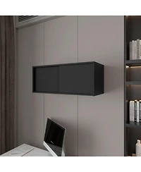Fm Furniture Anegam Floating Cabinet with Sliding Door