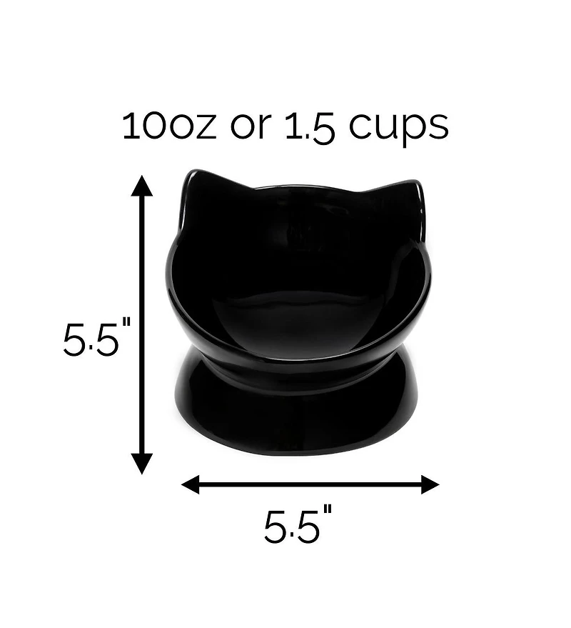 Park Life Designs Set of two Oscar Collection Tilted Rasied Cat Dishes