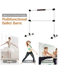 Hongge 4 Feet Portable Ballet Barre with Adjustable Height-Gray