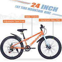 Streamdale Boys'/Girls' 24" Fat Tire Mountain Bike, 7-Speed