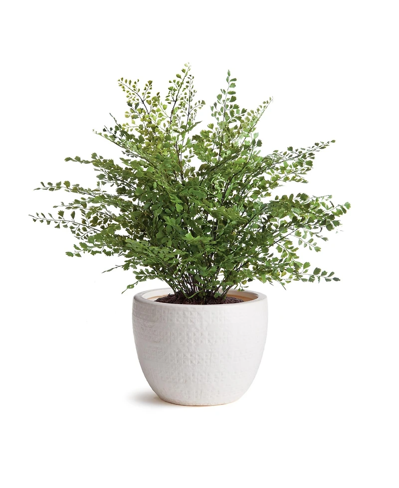 Shawna Pot Small