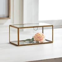Arwen Rectangular Display Box