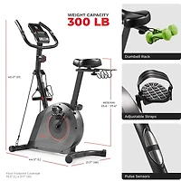 Sunny Health & Fitness Smart 16-Level Magnetic Resistance Upright Bike, with Workout Bands & Free SunnyFit App via Bluetooth