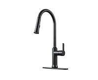 Casainc 1.8 Gpm Single-Handle Pull-Down Kitchen Faucet Single Hole Faucet