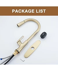 Casainc Single-Handle Pull-Down Kitchen Faucet Single Hole Faucet with Deck Plate