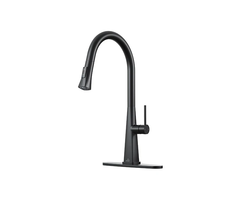 Casainc Pull Down Kitchen Faucet with Deck Plate