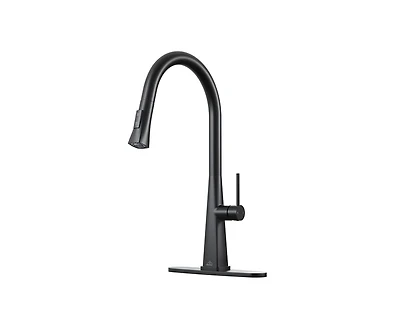 Casainc Pull Down Kitchen Faucet with Deck Plate