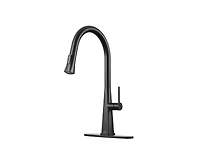 Casainc Pull Down Kitchen Faucet with Deck Plate