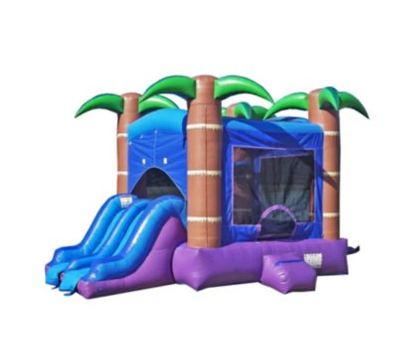 Herokiddo Enchanted Forest Commercial Grade Inflatable Bounce House Dual Lane Water Slidecombo
