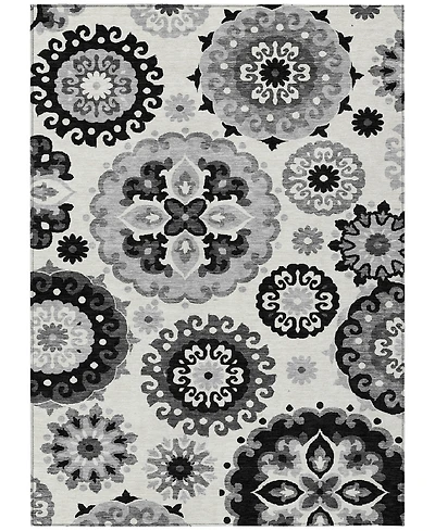 Addison Chantille Machine Washable ACN763 3'x5' Area Rug