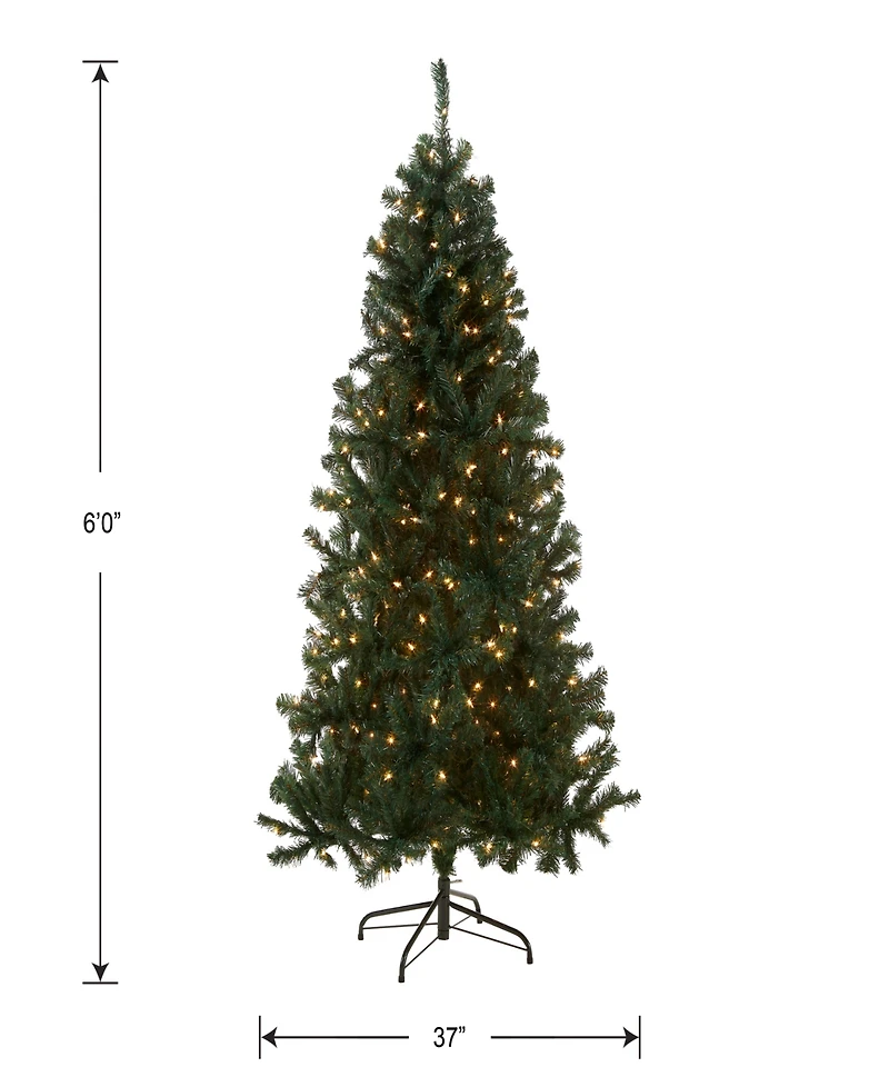 National Tree Company Acacia Pre-lit Christmas with 300 Clear Incandescent or Multicolor Lights, 6'