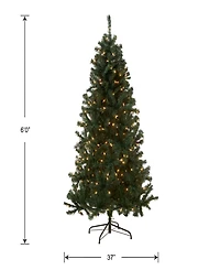 National Tree Company Acacia Pre-lit Christmas with 300 Clear Incandescent or Multicolor Lights, 6'