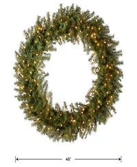 National Tree Company 48" Norwood Fir Wreath With 200 Clear Lights