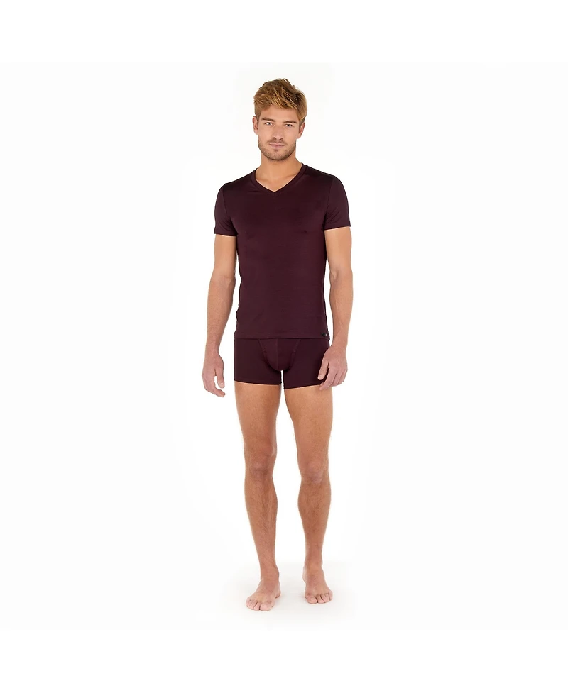 Hom Usa Men's V-Neck T-Shirt